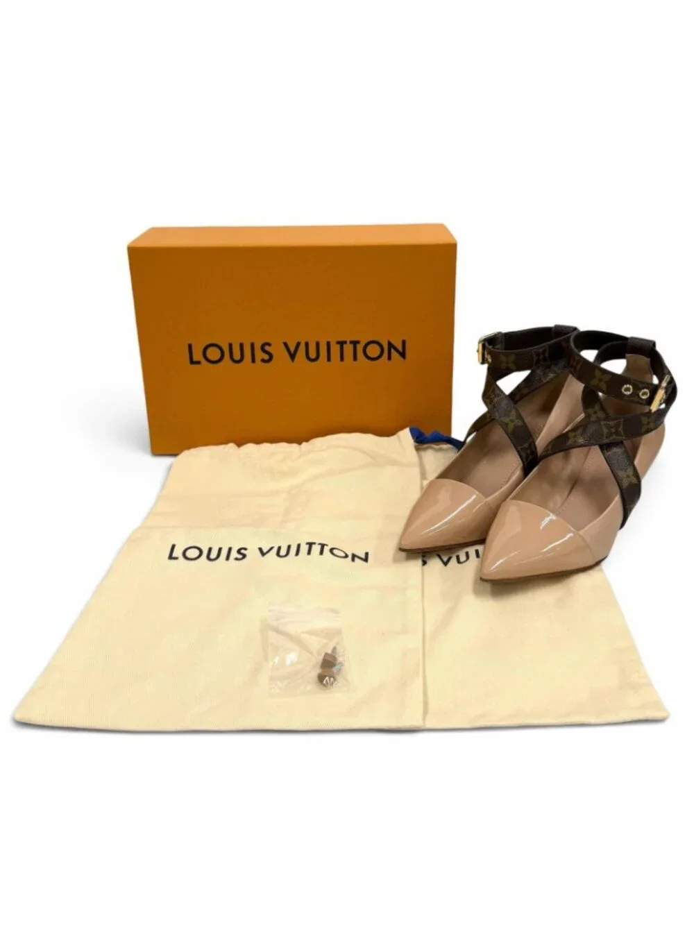 Louis Vuitton brand louis